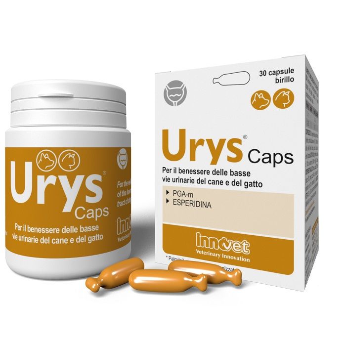 Urys Caps 30 Capsule - Urys Caps 30 Capsule