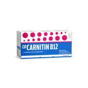 COCARNITIN B12 500 MG / 2 MG POLVERE E SOLVENTE PER SOSPENSIONE ORALE