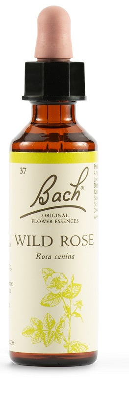 Wild Rose Bach Orig 20 Ml